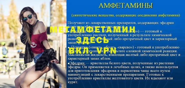 прущие грибы Новодвинск