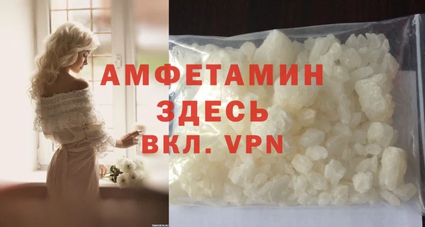 прущие грибы Новозыбков