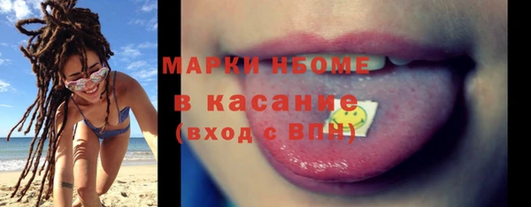 прущие грибы Новозыбков