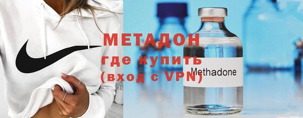 прущие грибы Новодвинск
