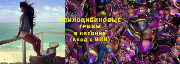прущие грибы Абдулино