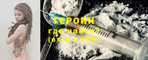 прущие грибы Новозыбков