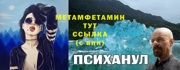 прущие грибы Абдулино