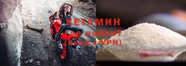прущие грибы Новозыбков
