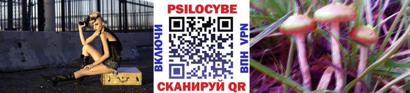 мега ссылки  Александровск-Сахалинский  Псилоцибиновые грибы мицелий 